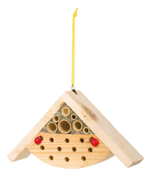 Paint A Bug Abode - Beetle & Bee