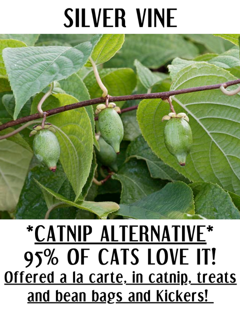 Matatabi Sticks, Cat Chew Toy - Shady Cat Social Club