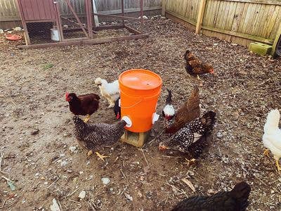 Poultry Pro Feeder Spout - Riverbend Resources