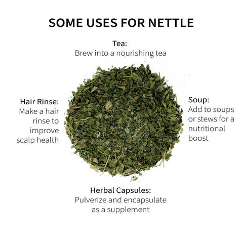 Nettle Leaf (Urtica dioica), 5.5 oz - Sacred Blossom Farm