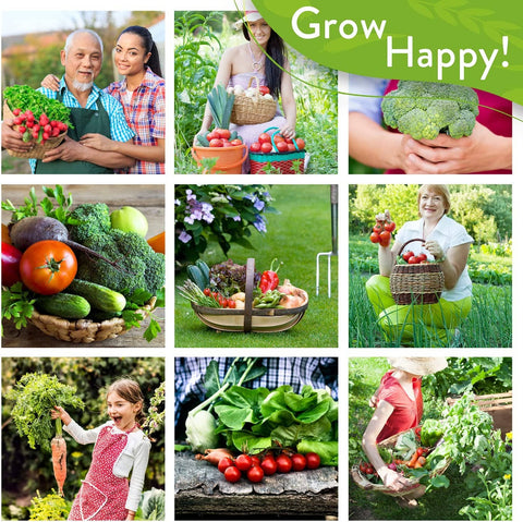 Heirloom Onion Seeds - Non GMO - Homegrown Garden