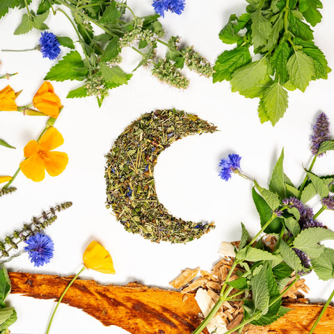 Dream Herbal Tea, 1.9 oz - Sacred Blossom Farm