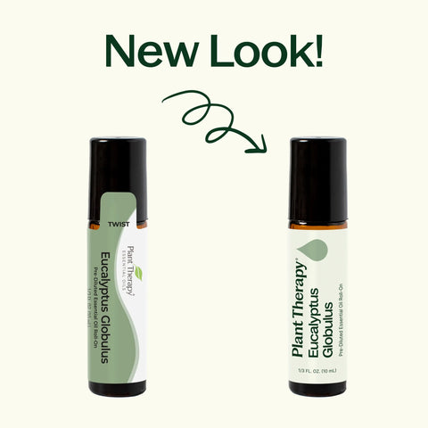 Roll-On Eucalyptus Globulus Essential Oil, 10 ml - Plant Therapy