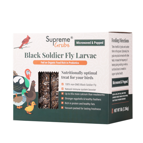 Black Soldier Fly Larvae, 1 lb - Supreme Grubs