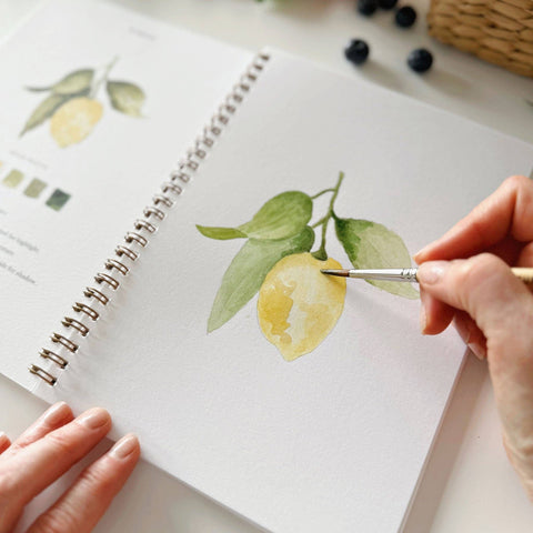 Fruit Watercolor Workbook - Emily Lex Studio