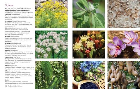 Reader's Digest - The Essential Book of Herbs: Paperback, 224 pages - Simon & Schuster