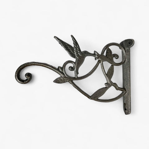 Hummingbird Plant Hanger, Cast Iron Wall Bracket, Natural Iron, 10.25" - Iron & Blossom
