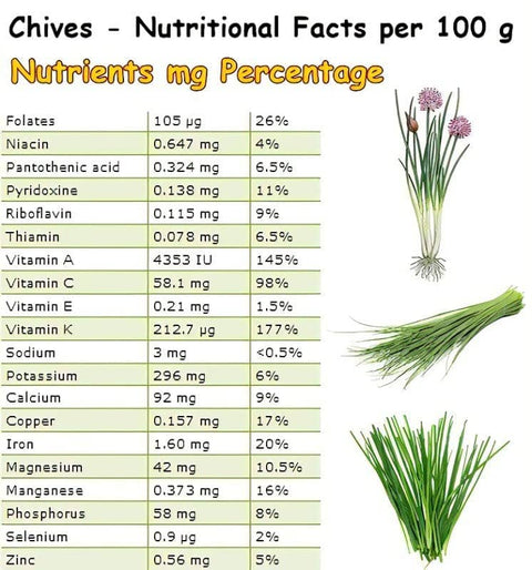 Garlic Chives, 2000 Seeds, Hẹ la Allium tuberosum - The Rike