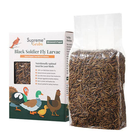 Black Soldier Fly Larvae, 5 lb - Supreme Grubs