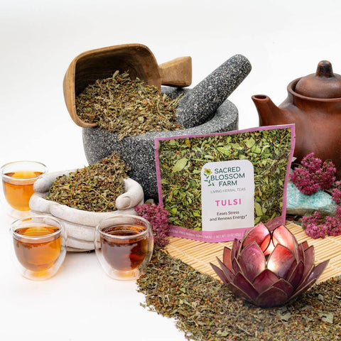 Tulsi Herbal Tea, 5.1 oz - Sacred Blossom Farm