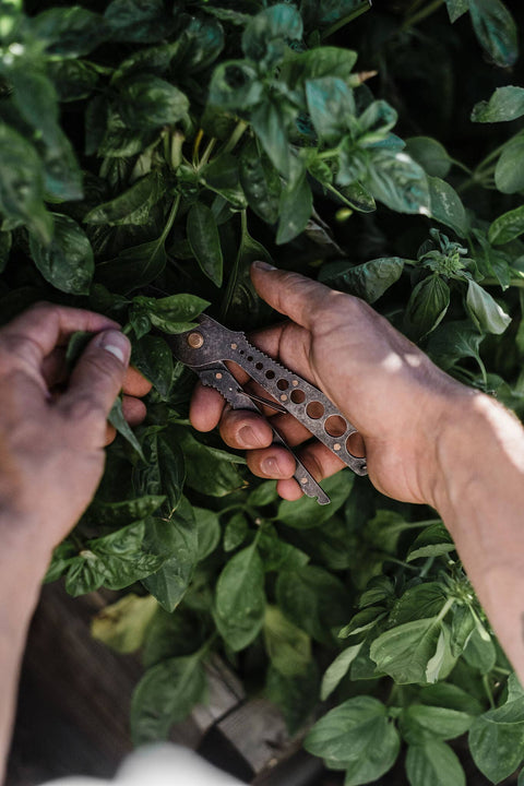 Herb Harvest + Strip Tool: Tumbled Black - Barebones