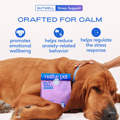 Native Pet GutWell Stress Support, Stress Relief & Calming, 12.7 oz - Native Pet
