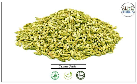 Fennel Seeds: 16 oz (1 lb) - Alive Herbals