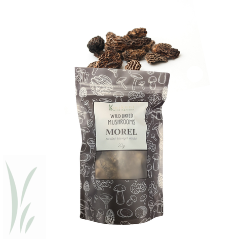 Dried Wild Morel Mushrooms, 20 g - Mikuni Wild Harvest USA