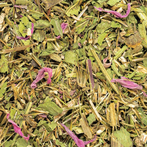 Echinacea Purpurea, 7.0 oz - Sacred Blossom Farm