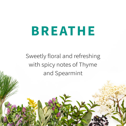 Breathe Herbal Tea, 1.5 oz - Sacred Blossom Farm