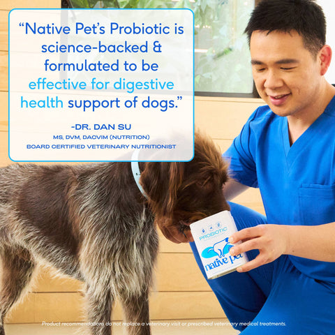Probiotic & Prebiotic Powder Supplement: 60 scoops, 8.2 oz - Native Pet