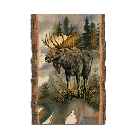 Woodland Majesty, Wood Live Edge Postcard - DaydreamHQ