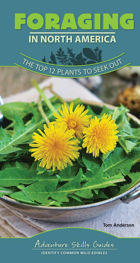 Foraging in North America Quick Guide - AdventureKEEN