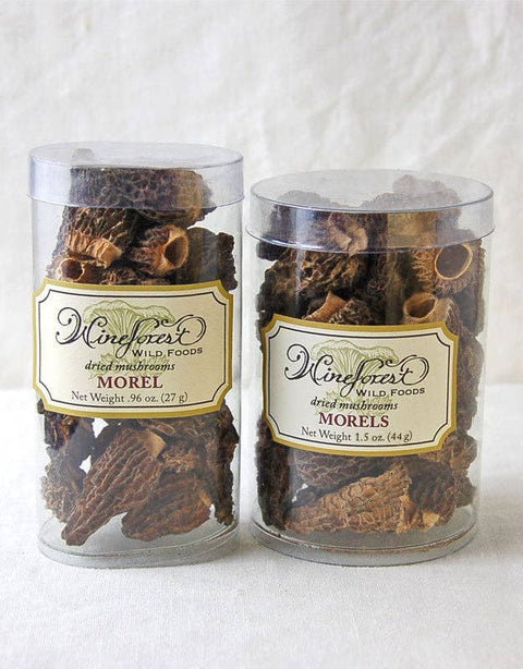Dried Morel Mushrooms: .9 oz/25 g tube - Wine Forest Ltd.