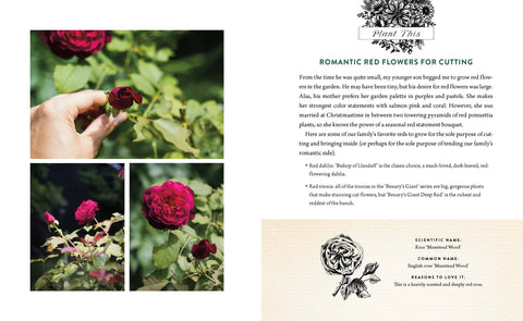 A Home in Bloom: Hardcover - Harvest House Publishers