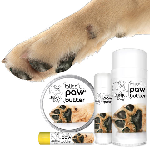 Paw Butter for Rough, Dry Dog Paws in Tins & Tubes, Paw Balm: 1 oz tin - The Blissful Dog