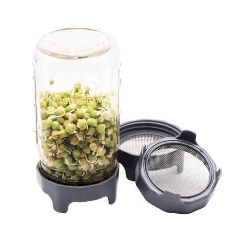 Rust Proof Sprouting Lid with Built-In Stand for Wide Mouth - Mason Jar Lifestyle