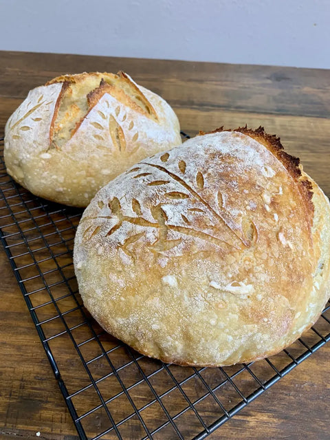 Sourdough Starter, Organic, Non-GMO, Freeze Dried, 12 grams - My Rustic Roots