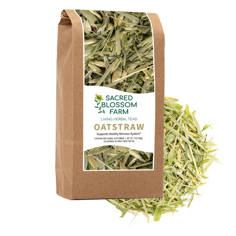 Oatstraw (Avena sativa), 7.0 oz - Sacred Blossom Farm