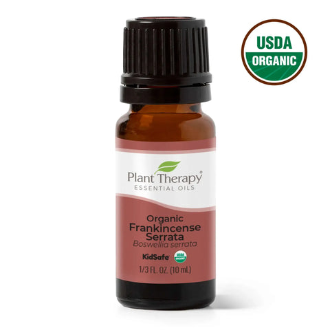 Organic Frankincense Serrata Essential Oil, 10 ml - Plant Therapy
