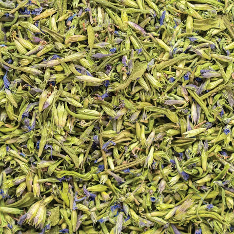 Fragrant Hyssop, 6.0 oz - Sacred Blossom Farm
