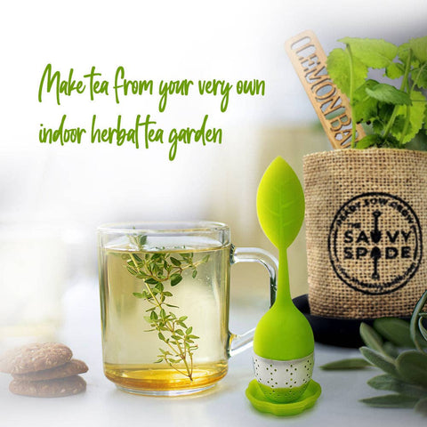 Herbal Tea Garden Kit - The Savvy Spade