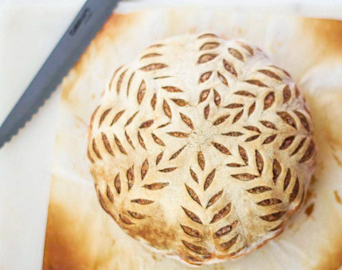 Sourdough Starter, Organic, Non-GMO, Freeze Dried, 12 grams - My Rustic Roots