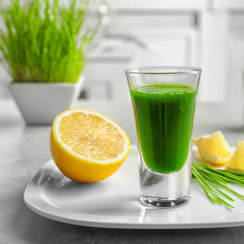 Wheat Grass Seeds - The Rike