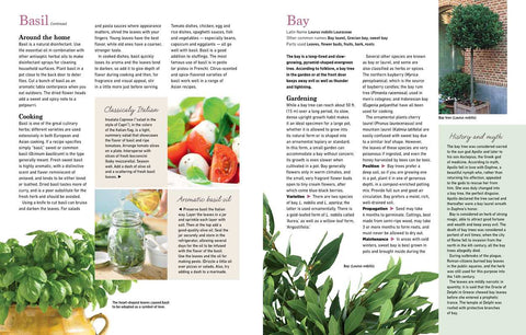 Reader's Digest - The Essential Book of Herbs: Paperback, 224 pages - Simon & Schuster