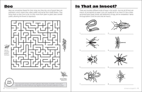 Beautiful Bugs Activity Book - AdventureKEEN