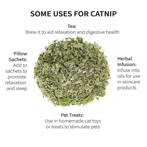 Catnip, 5.2 oz - Sacred Blossom Farm