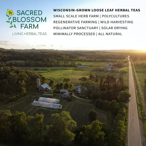 Lemongrass Tea, 5 oz - Sacred Blossom Farm