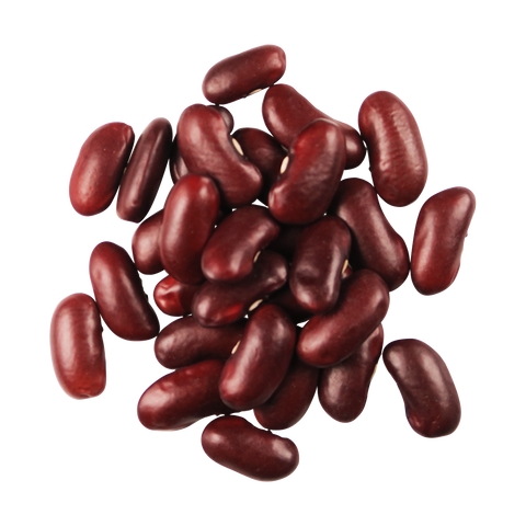 Organic Red Kidney Beans, 16 oz - Edison Grainery