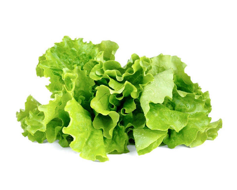 Green Lettuce Pods, 3-pack - Click and Grow