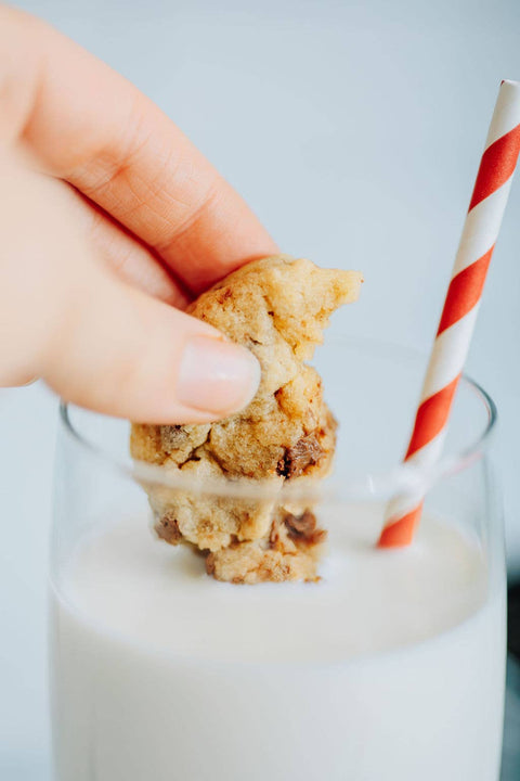 Chocolate Chip Cookie Mix, 2 lb Pouch - Lehi Mills