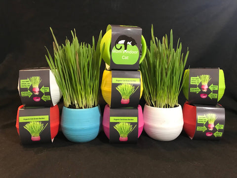 Cat Grass Garden Ball, Blue - Mom’s Indoor Cat