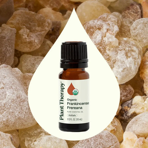 Plant Therapy - Organic Frankincense Frereana Essential Oil 10 mL