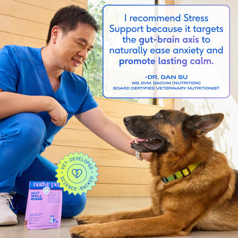 Native Pet GutWell Stress Support, Stress Relief & Calming, 12.7 oz - Native Pet