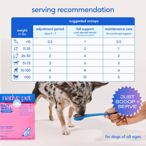 Native Pet GutWell Itchy Skin, Anti Itch Supplement for Dogs, 12.7 oz - Native Pet