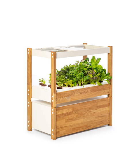The Click and Grow 25, White with Oak, holds 25 Pods - Click and Grow