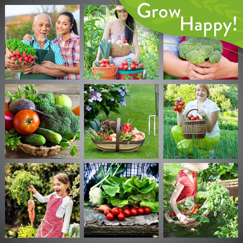 15 Vegetable Seeds Variety Pack - Heirloom, Non GMO - Homegrown Garden