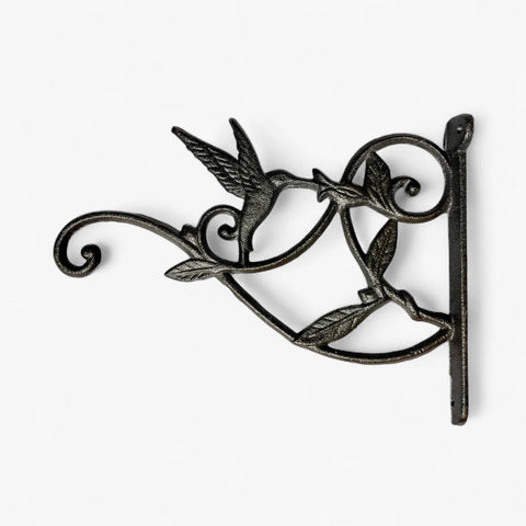 Hummingbird Plant Hanger, Cast Iron Wall Bracket, Natural Iron, 10.25" - Iron & Blossom