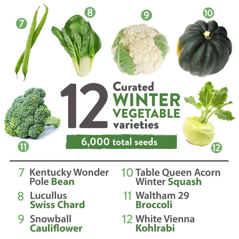 12 Winter Vegetable Seeds Varieties - Heirloom, Non-GMO - Homegrown Garden