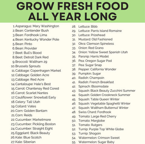 Heirloom Onion Seeds - Non GMO - Homegrown Garden